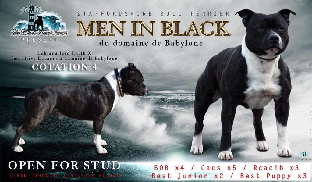 Men in black Du Domaine De Babylone